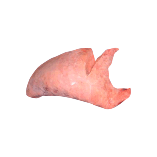 Pulmón de Cerdo
