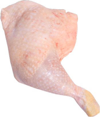 Whole Chicken Thigh